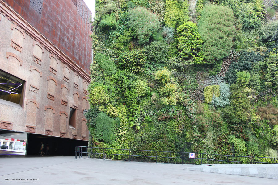 Imagen de un gran jardín vertical en la fachada de un edificio