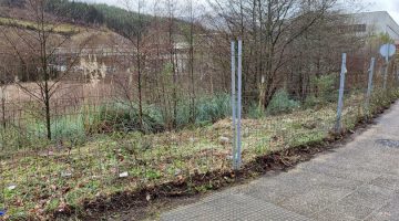 Imagen de parcela desbrozada