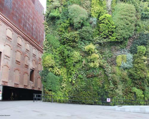 Imagen de un gran jardín vertical en la fachada de un edificio
