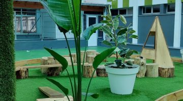 Imagen de plantas en macetas blancas