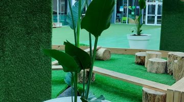 Imagen de planta en una maceta blanca