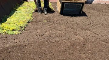 Imagen de la instalación de una cubierta vegetal