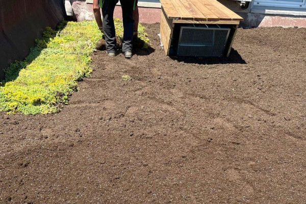 Imagen de la instalación de una cubierta vegetal